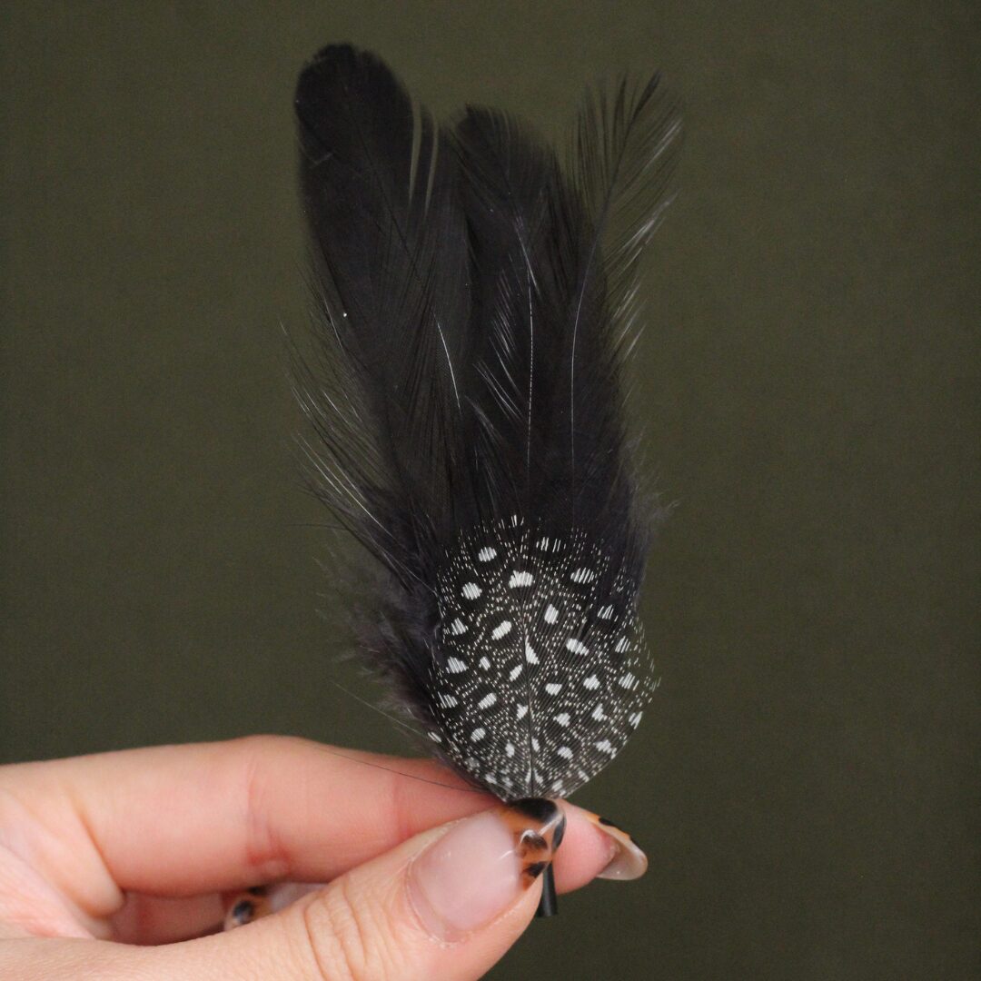 Pluma Black