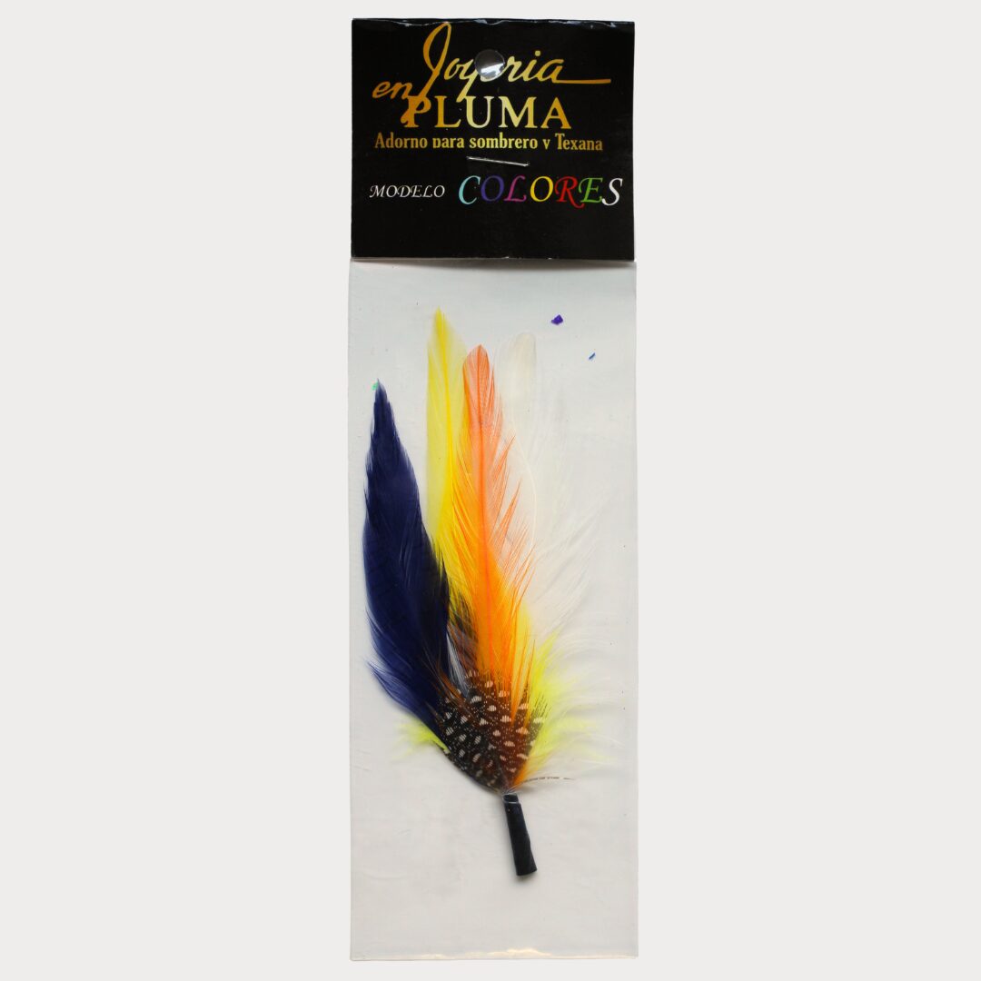 Pluma Colores