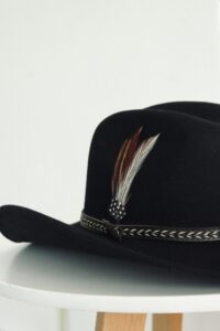 Pluma Gallo de Pelea