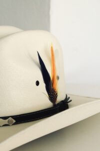 Pluma Colores