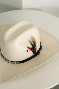 Pluma Stetson
