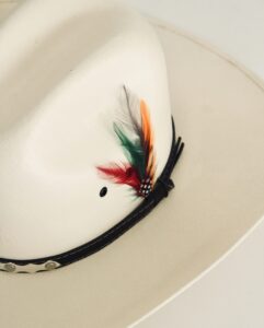 Pluma Stetson