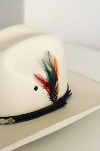 Pluma Stetson