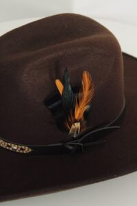 Pluma Resistol