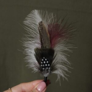 Pluma Exótica