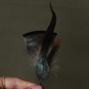 Pluma Exótica
