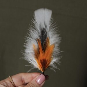Pluma Exótica
