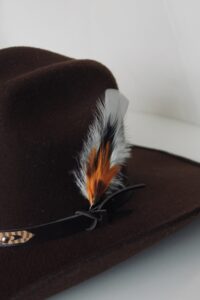 Pluma Exótica